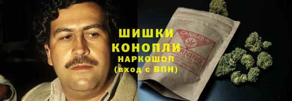 стаф Зеленокумск