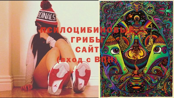 стаф Зеленокумск