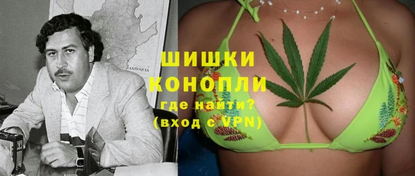 стаф Зеленокумск